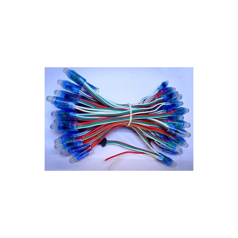 12v LED String 50 Pixels