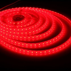 12v RED 5050 60 LED/m IP67 Strip /m