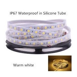 12v WARM WHITE 5050 60 LED/m IP67 Strip /m