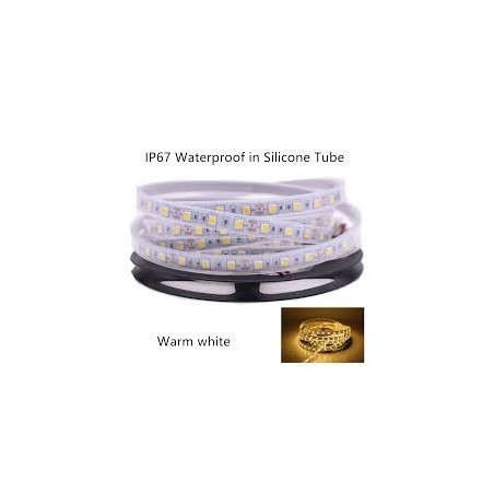 12v WARM WHITE 5050 60 LED/m IP67 Strip /m