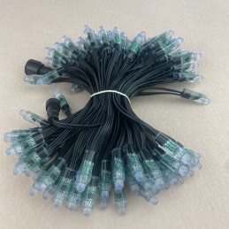 12v LED String 50 Pixels