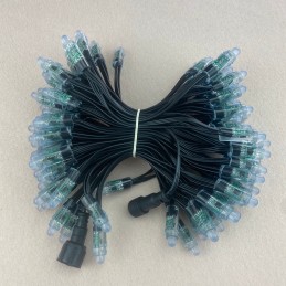 12v LED String 50 Pixels